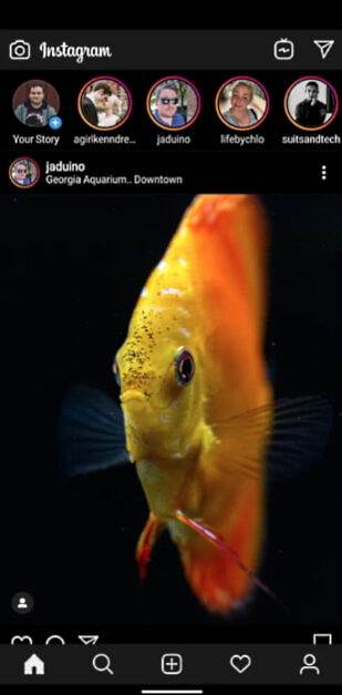   - MONDO / Instagram / PhoneArena.com 