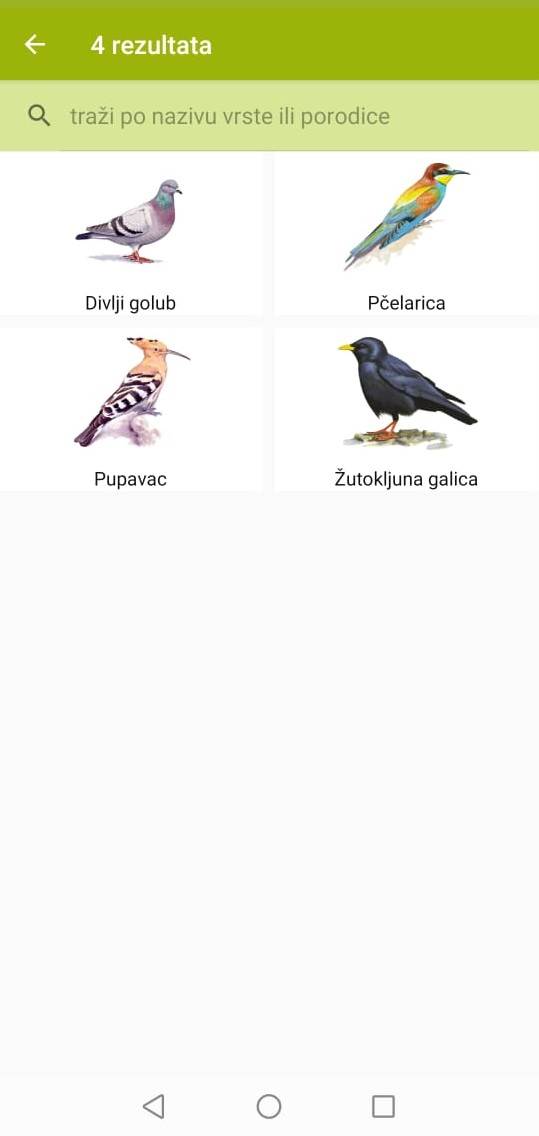   - Mondo / Ptice na dlanu / Printscreen 