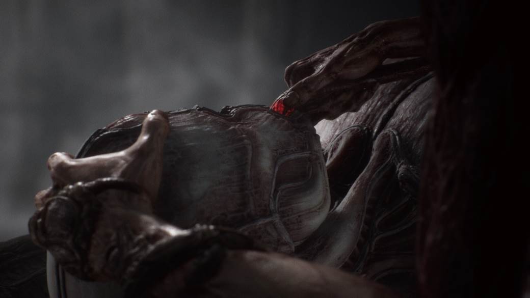   - MONDO / Ebb Software 