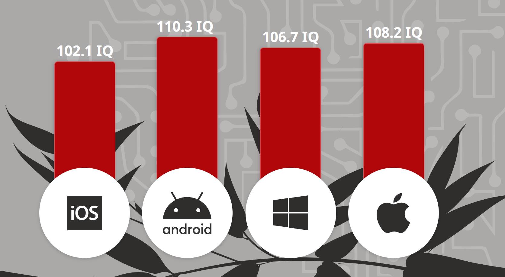   - Mondo / royalpanda 