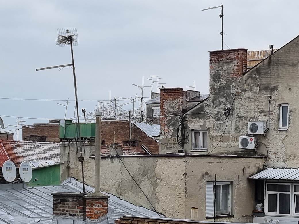   - MONDO / Marko Čavić 