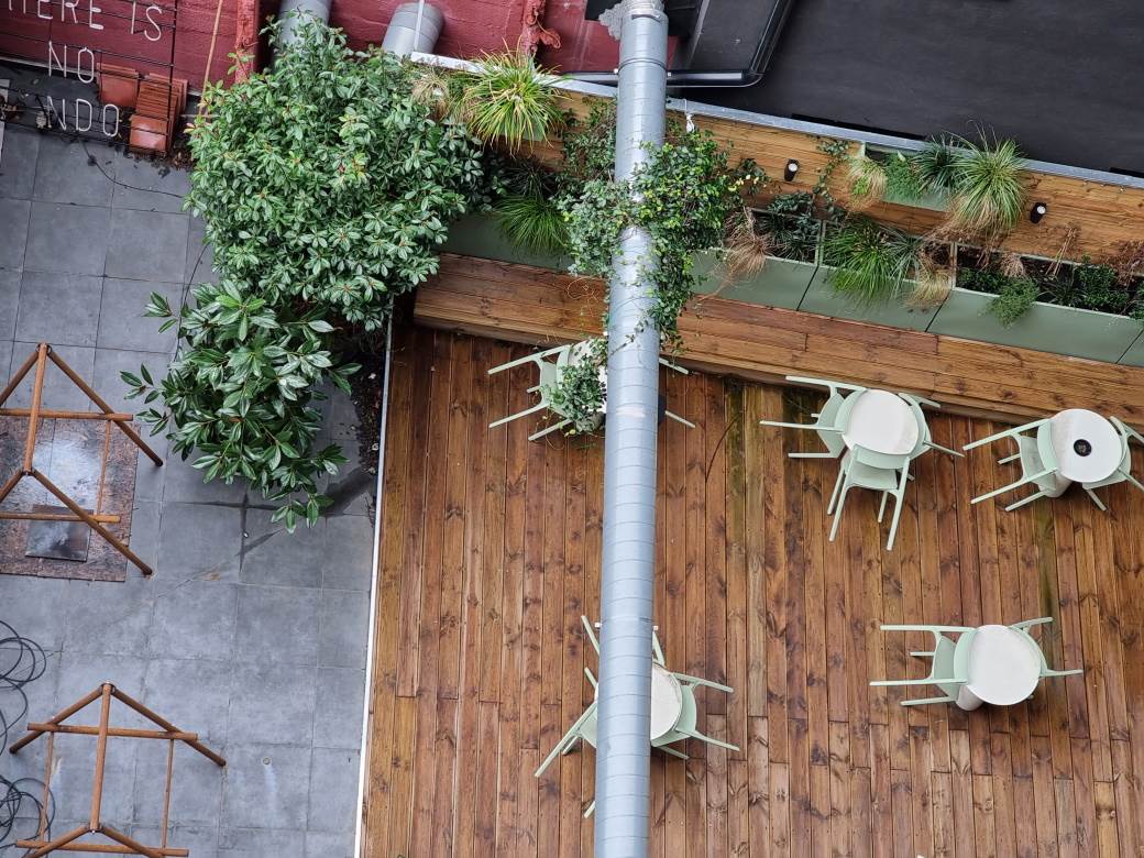   - MONDO / Marko Čavić 