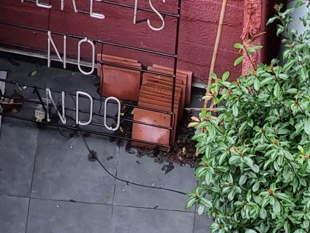   - MONDO / Marko Čavić 