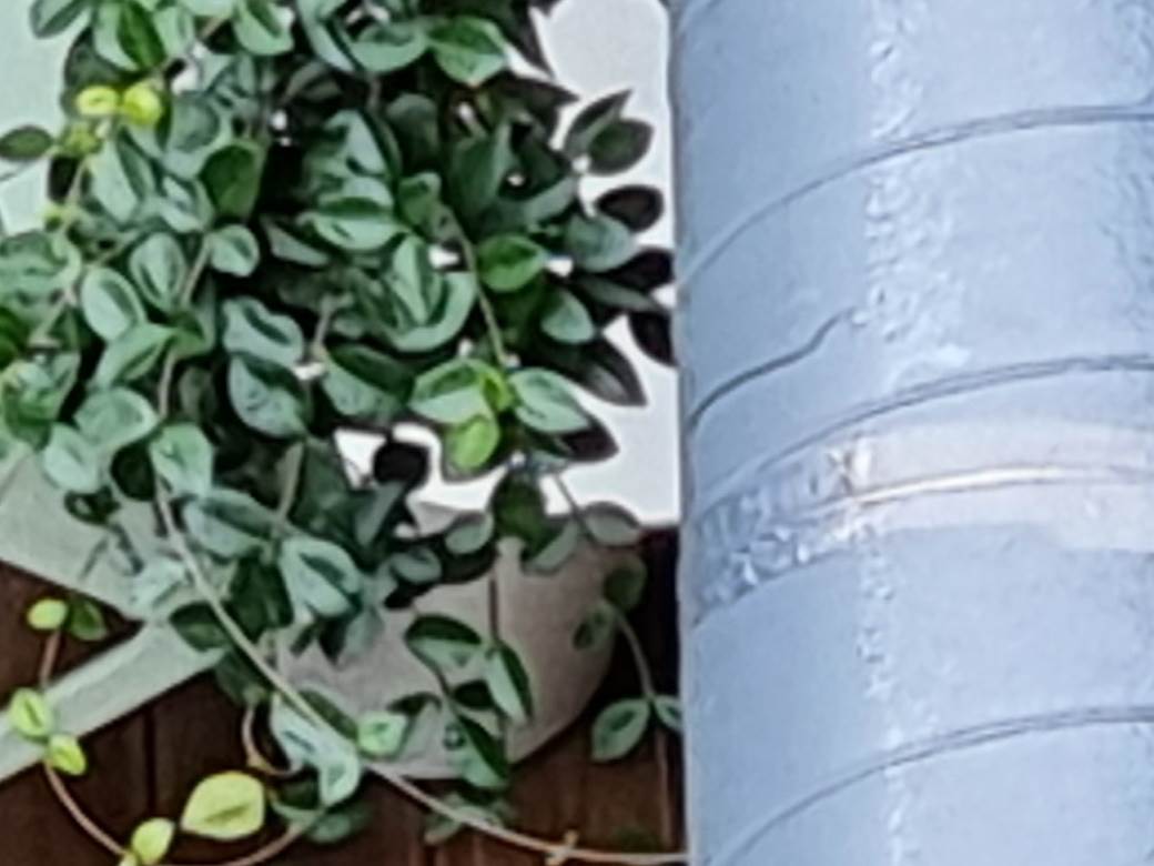   - MONDO / Marko Čavić 