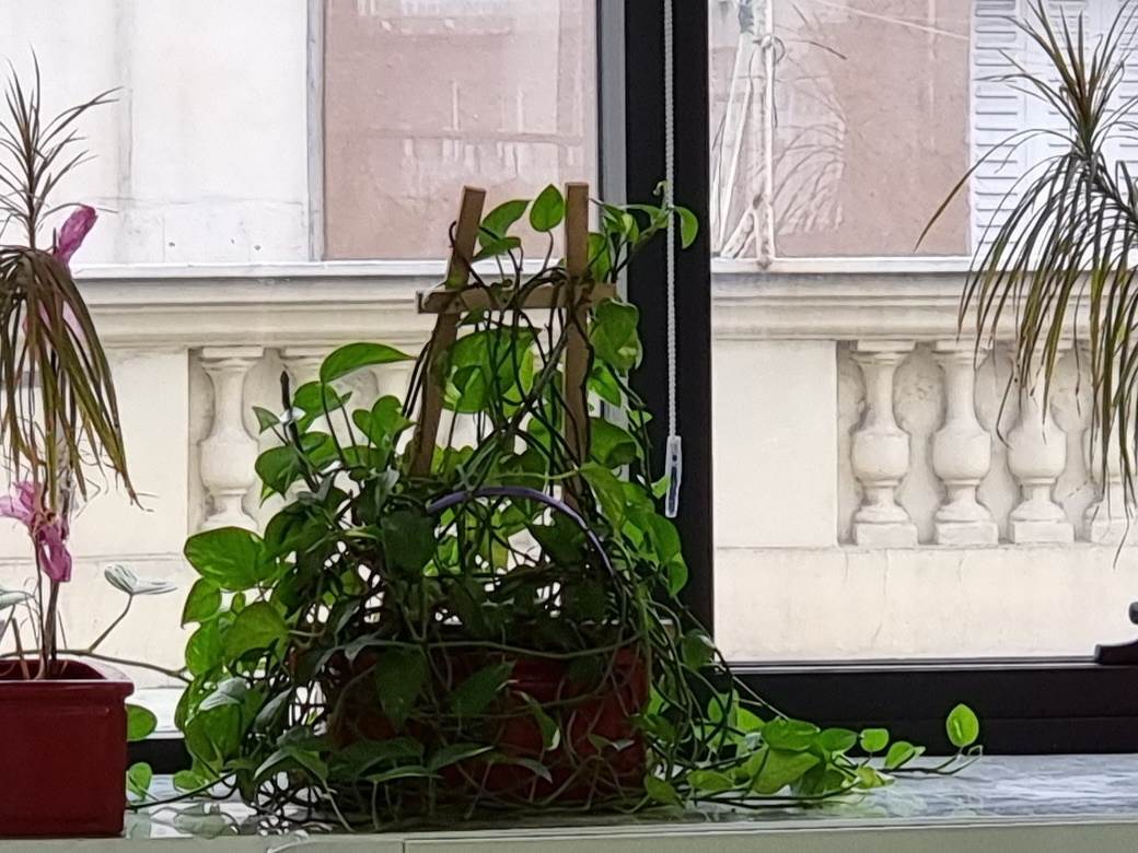   - MONDO / Marko Čavić 