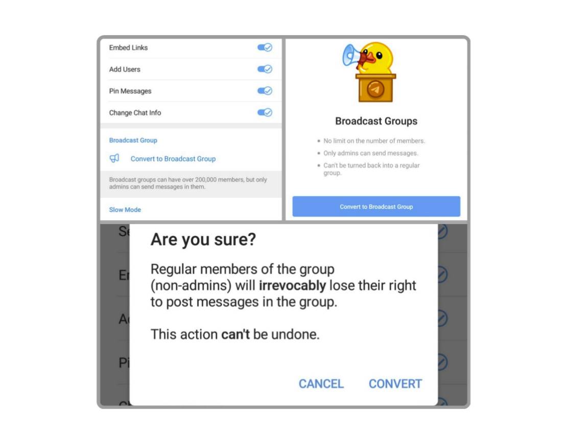   - Twitter / Printscreen/ Telegram Turkish 