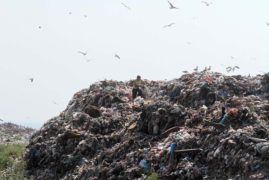   - MONDO/Goran Sivački 