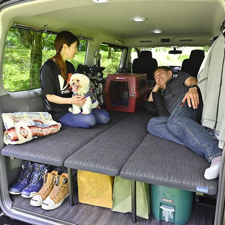   - SMARTLife / Nissan / Autech 