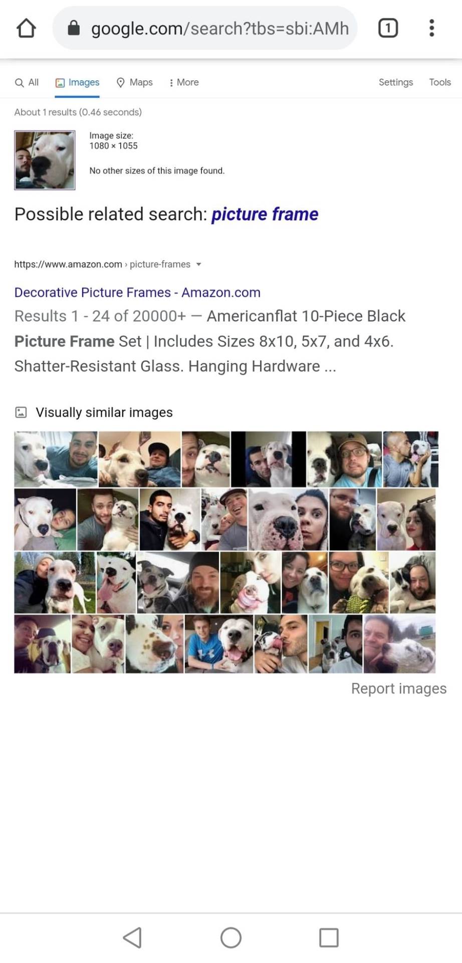   - SmartLife / Google 