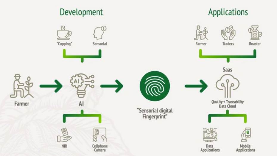   - SMARTLife / Demetria 