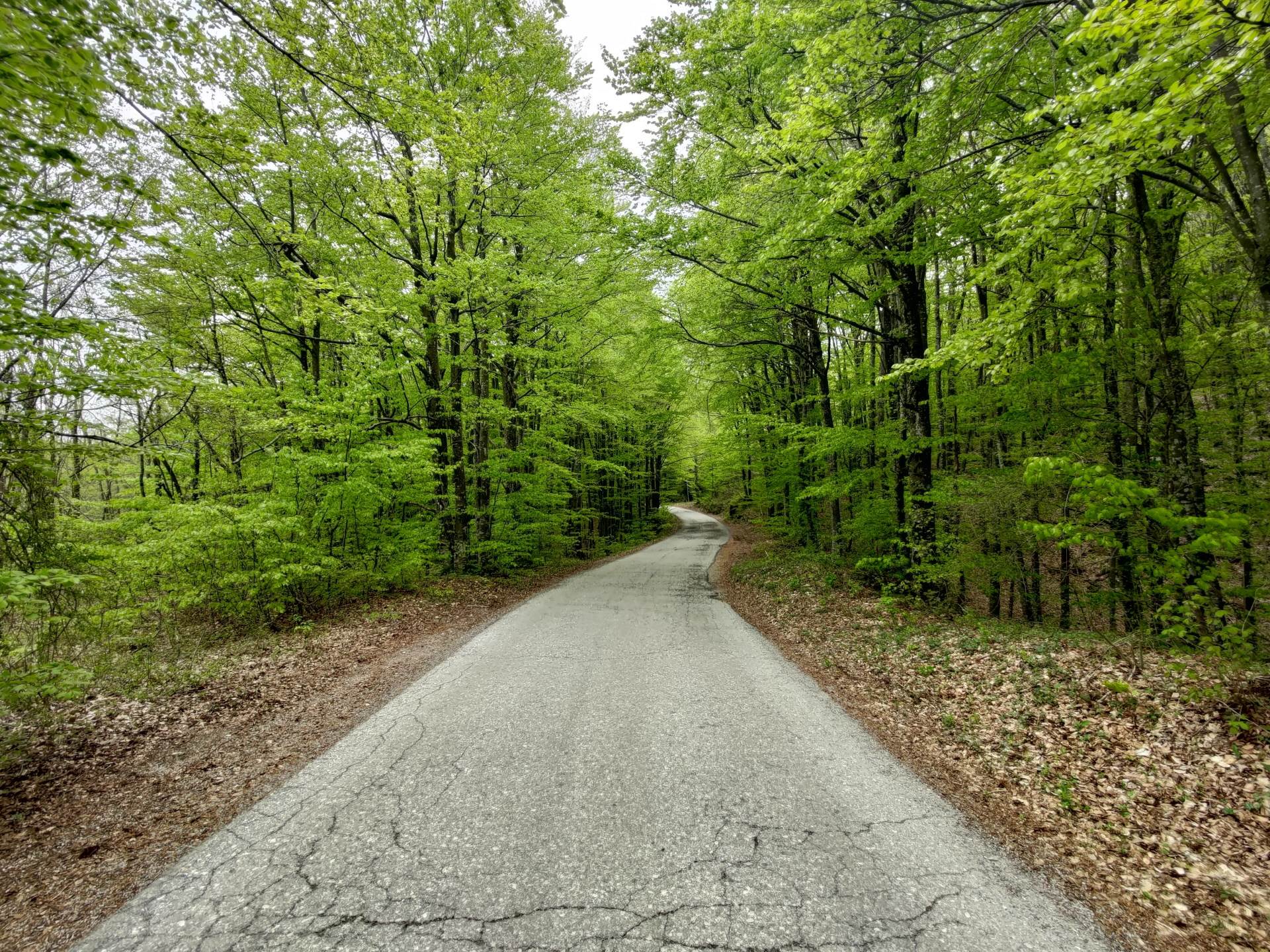   - SmartLife / Marko Nešović 