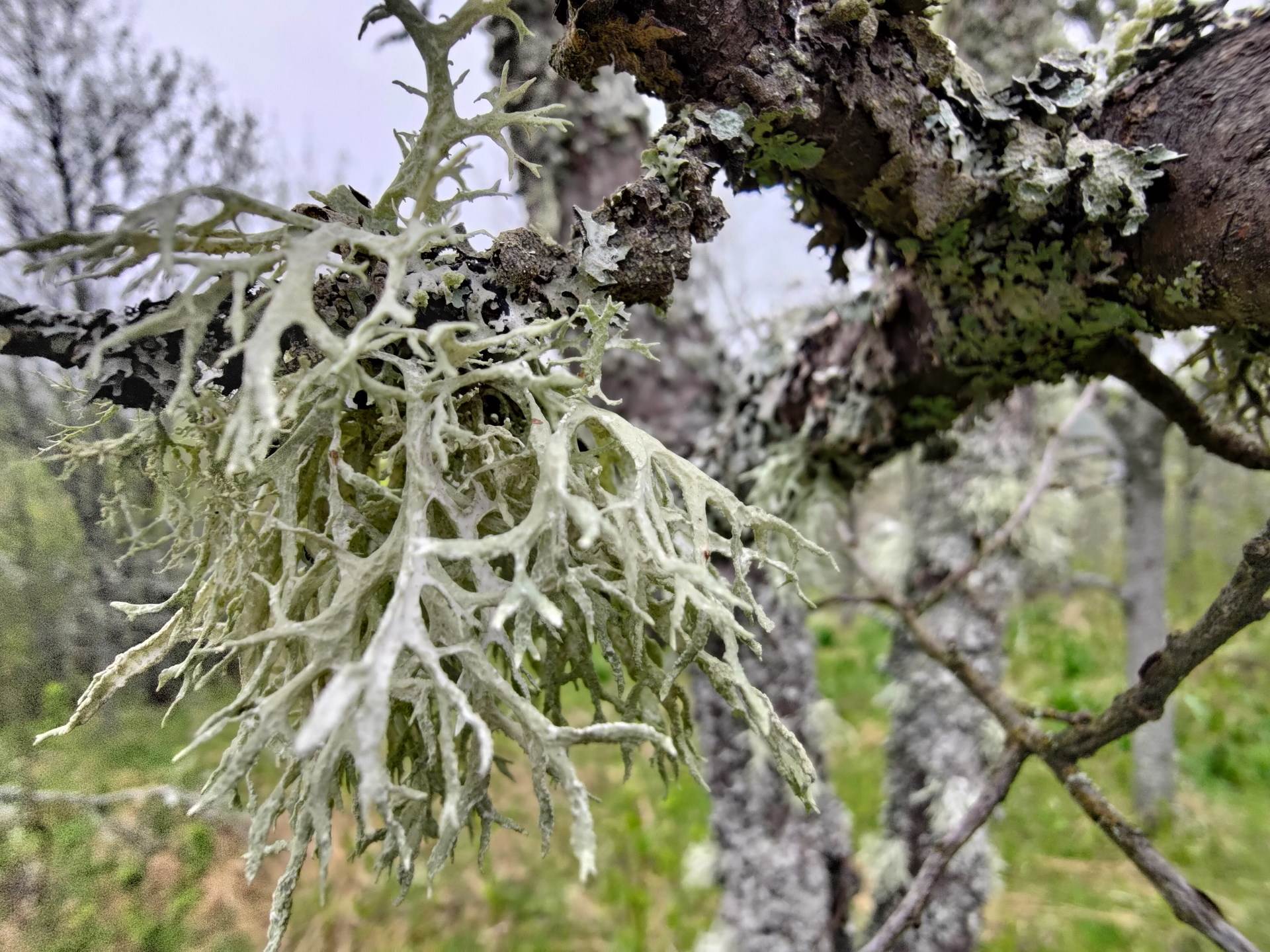   - SmartLife / Marko Nešović 