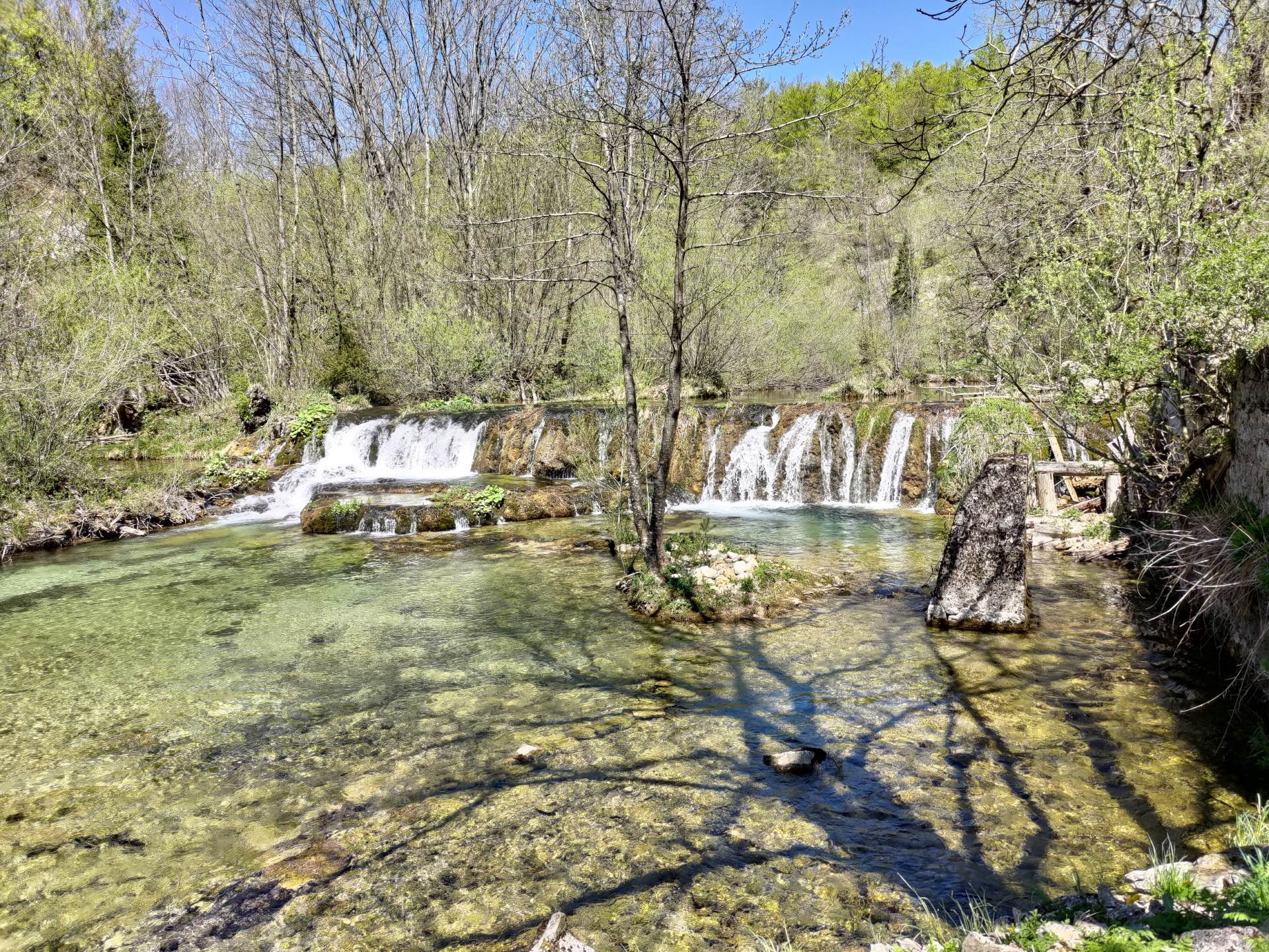   - SmartLife / Marko Nešović 