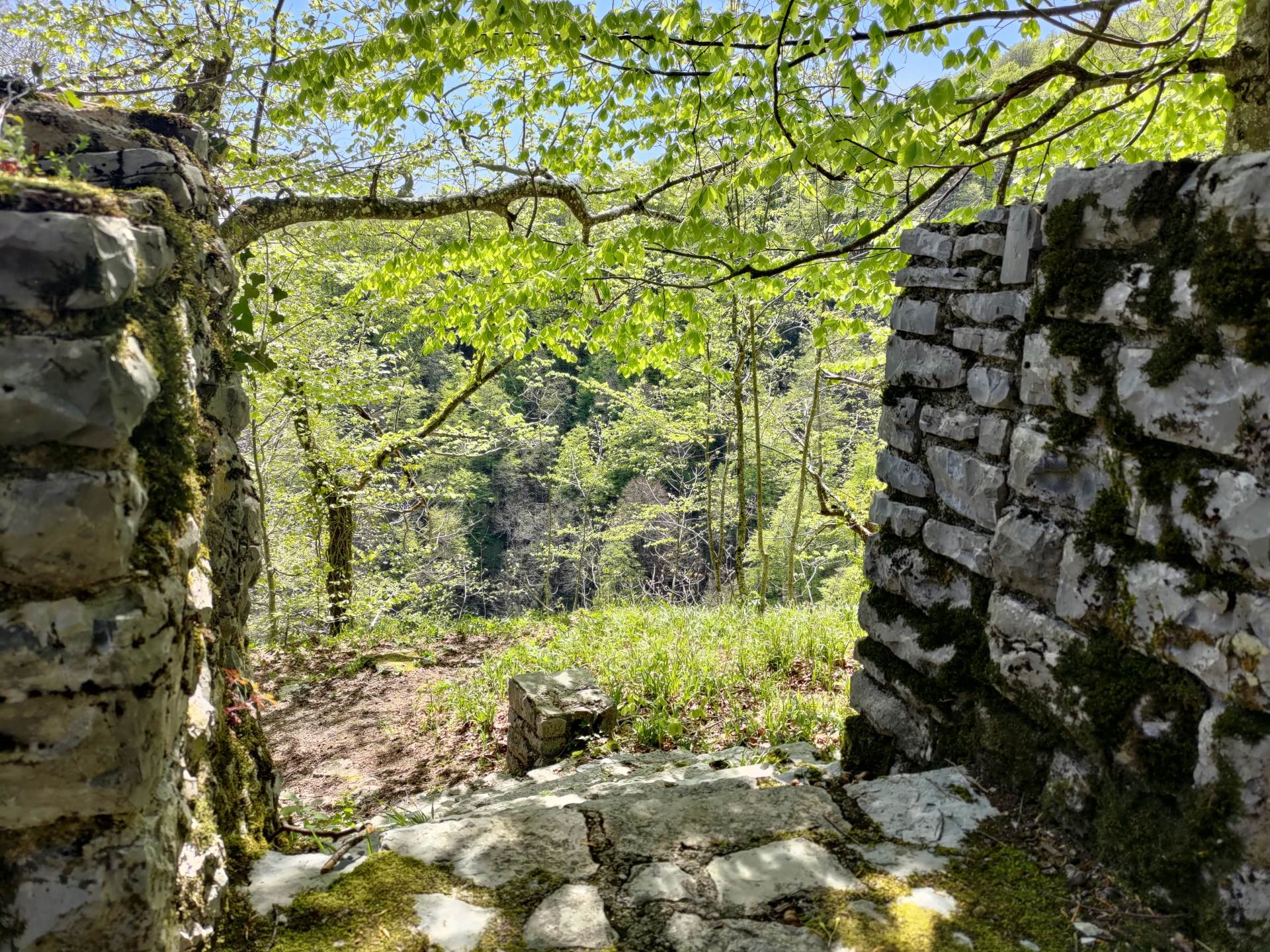   - SmartLife / Marko Nešović 