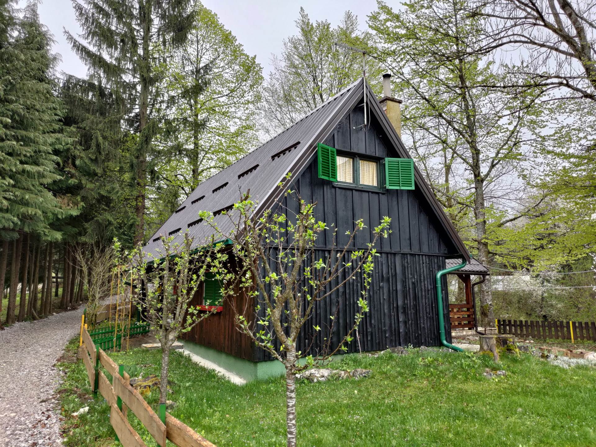   - SmartLife / Marko Nešović 