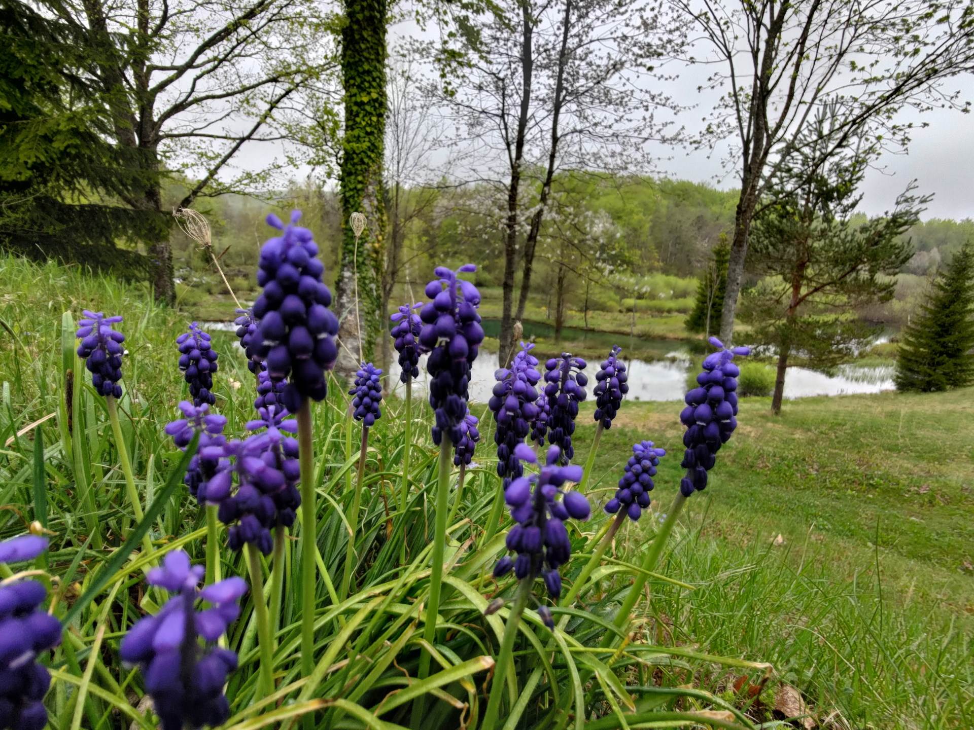   - SmartLife / Marko Nešović 