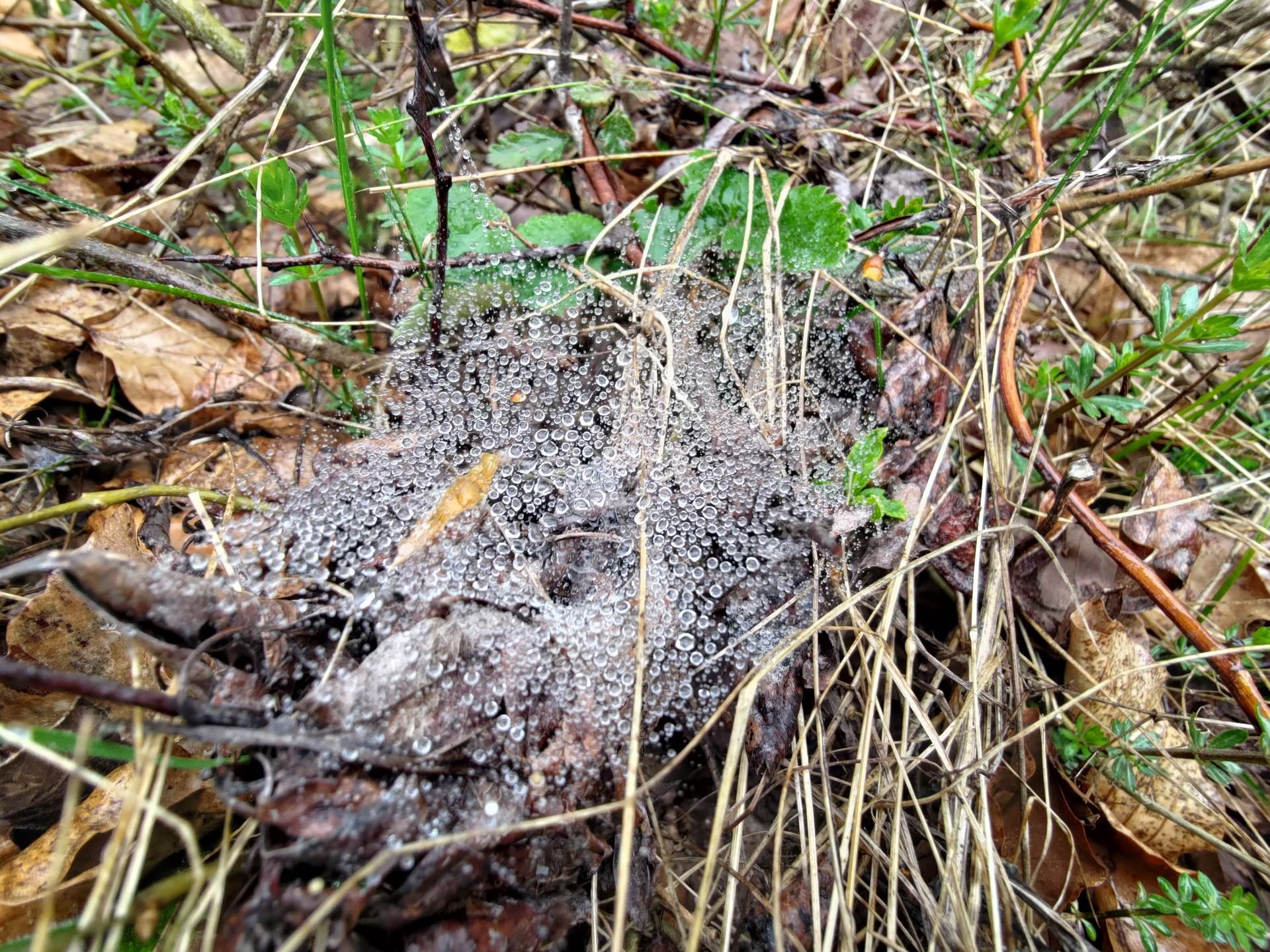   - SmartLife / Marko Nešović 