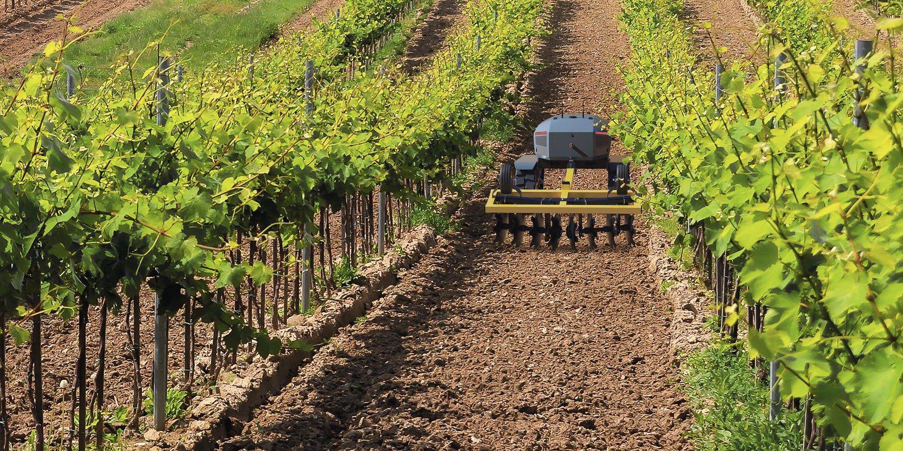   - Facebook/ Printscreen/ Ztractor 