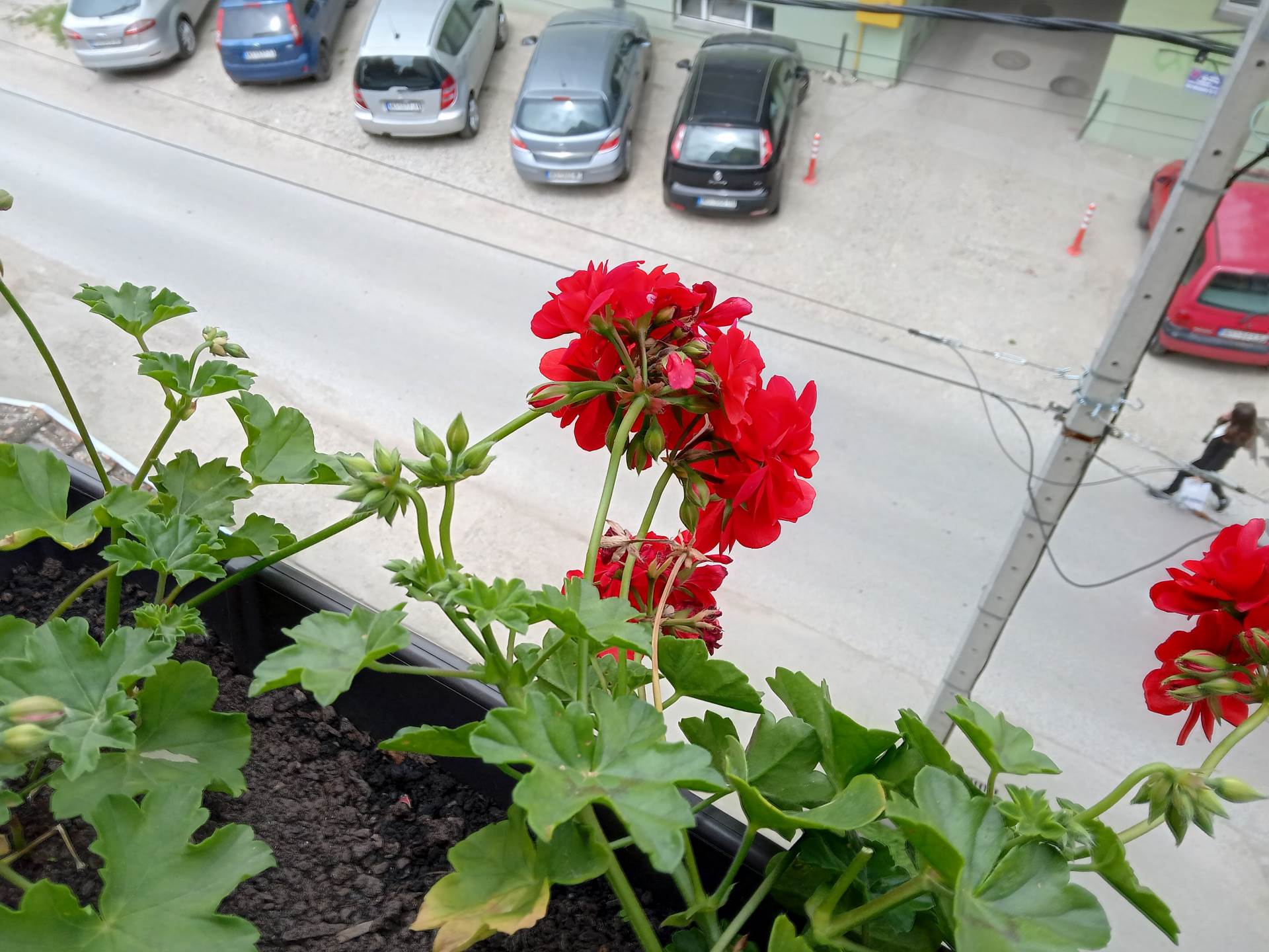   - SmartLife / Marko Čavić 