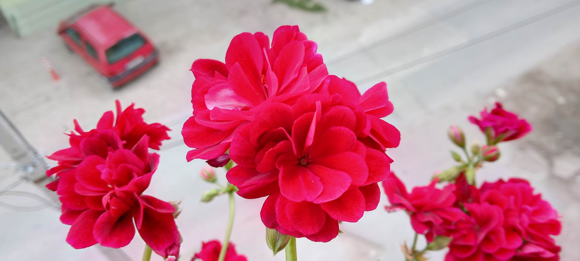   - SmartLife / Marko Čavić 