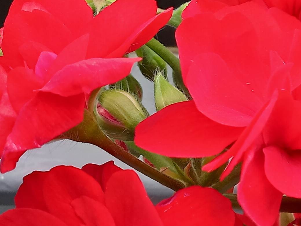   - SmartLife / Marko Čavić 