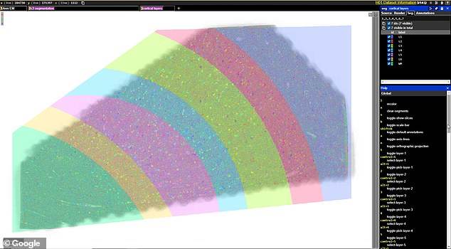   - SmartLife / Google 