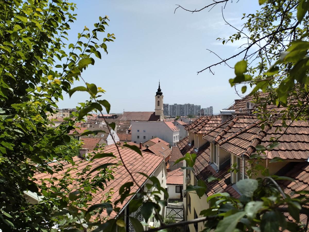   - SmartLife / Marko Nešović 