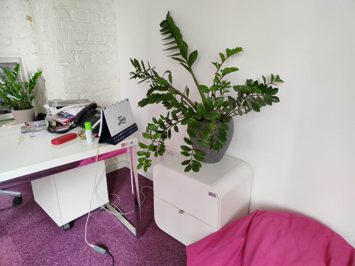   - SmartLife / Marko Čavić 