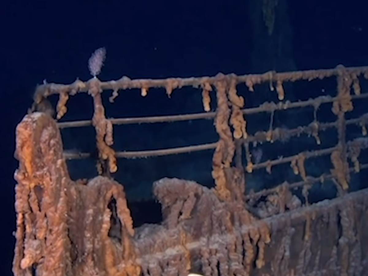   - SmartLife / YouTube / The Telegraph 