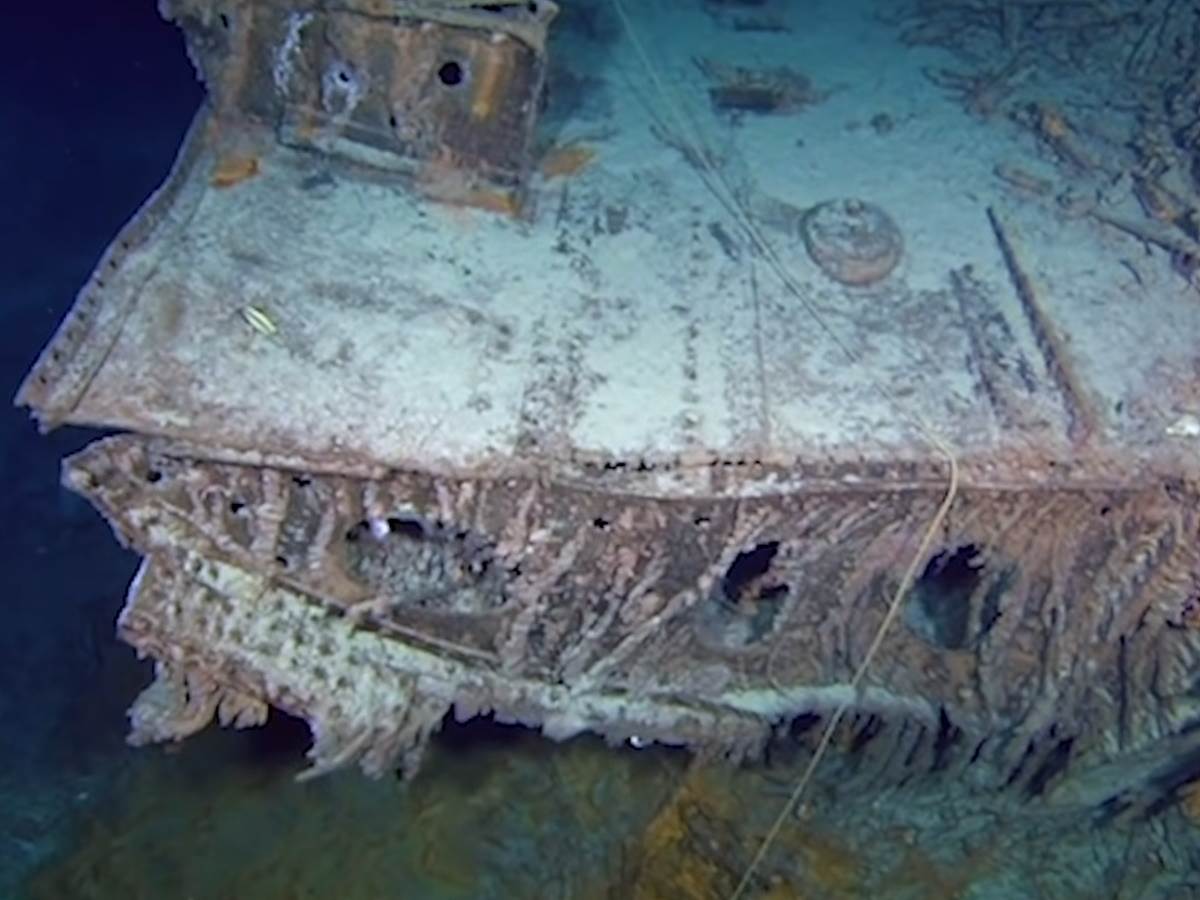   - SmartLife / YouTube / The Telegraph 