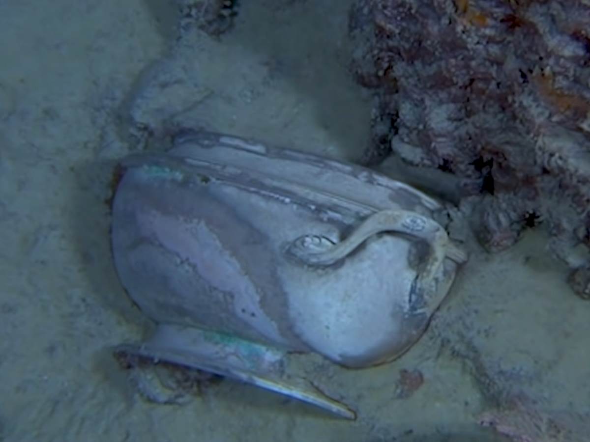   - SmartLife / YouTube / The Telegraph 