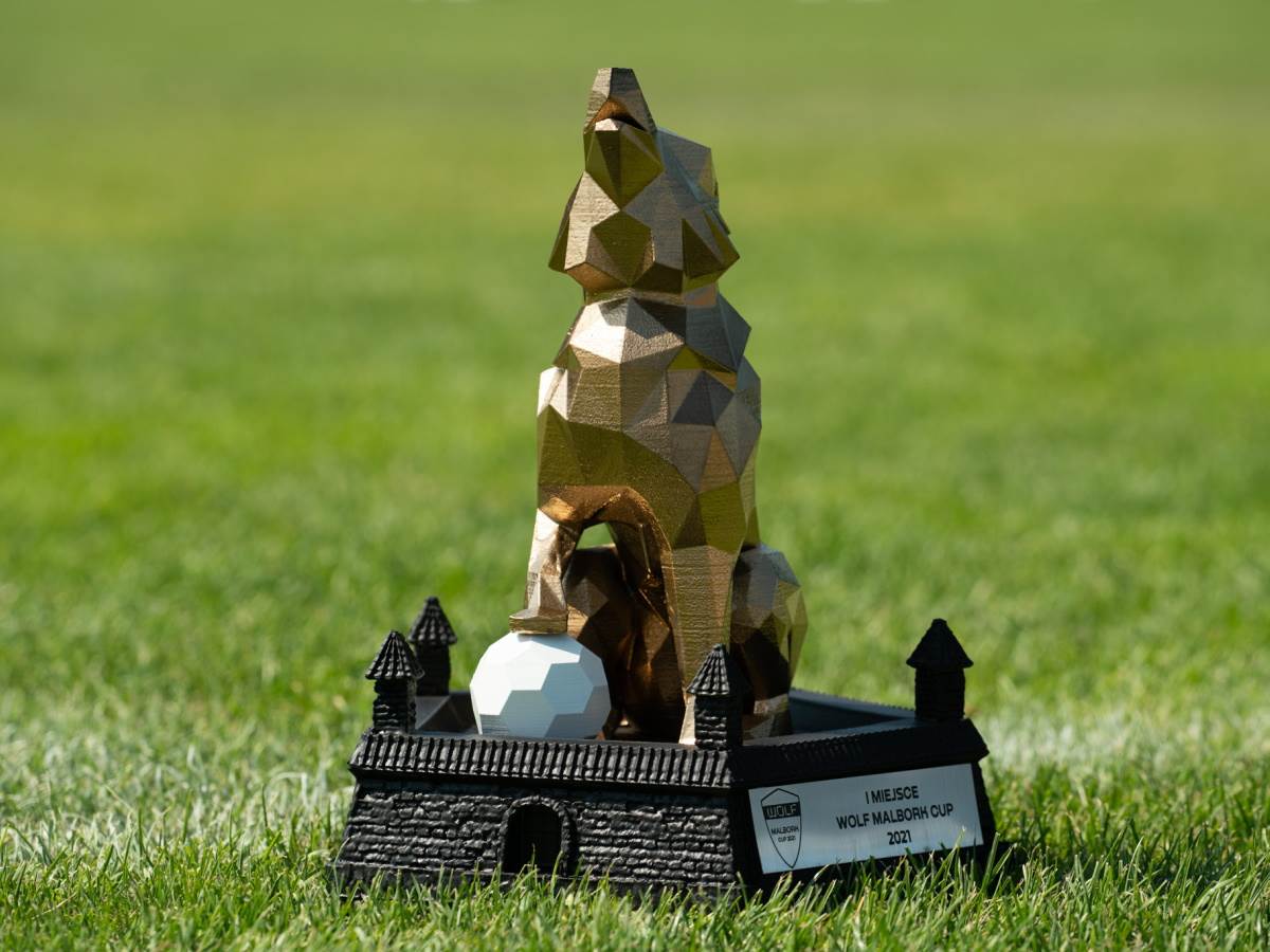   - SmartLife / WOLF Group 