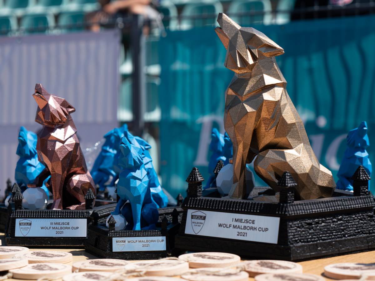   - SmartLife / WOLF Group 