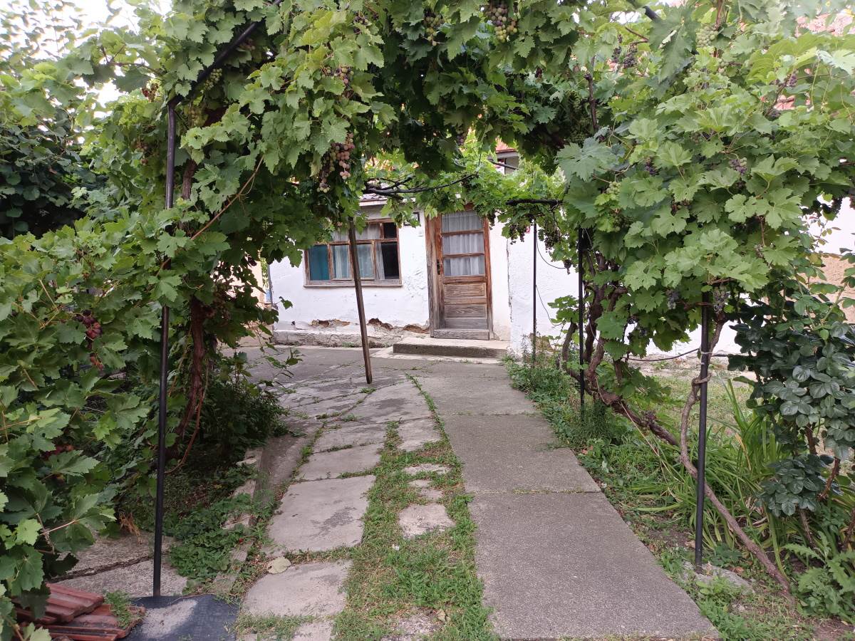   - SmartLife / Marko Nešović / Vivo V21 5G 