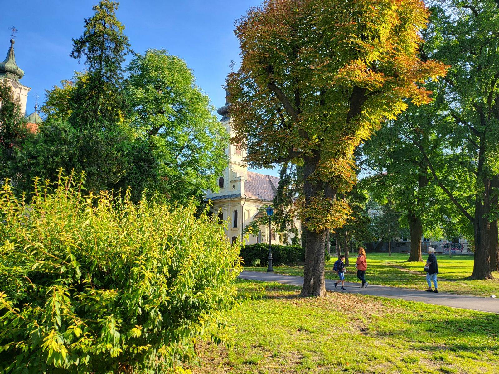  20210902_075844 - SmartLife / Marko Nešović 