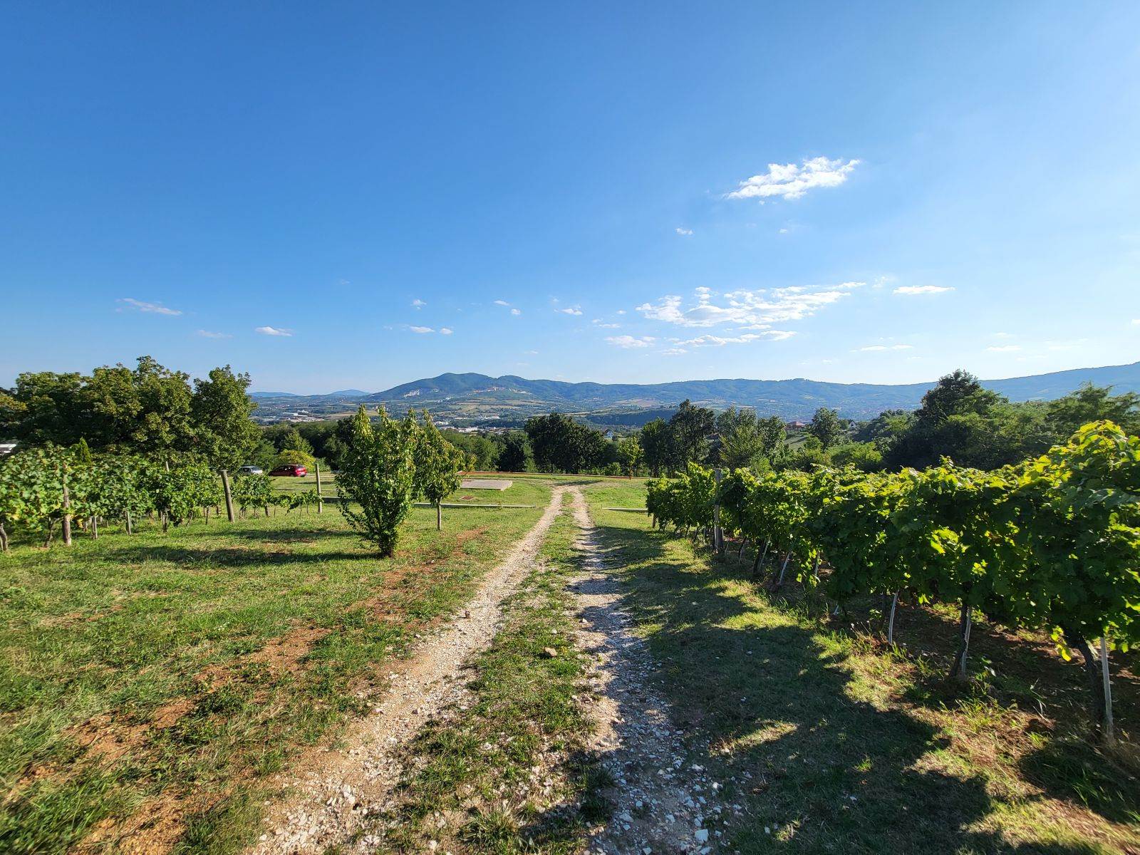  20210904_164625 - SmartLife / Marko Nešović 