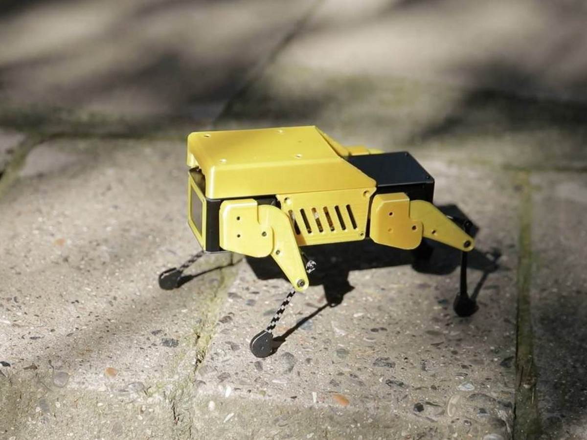  Mini Pupper robot pas 2 