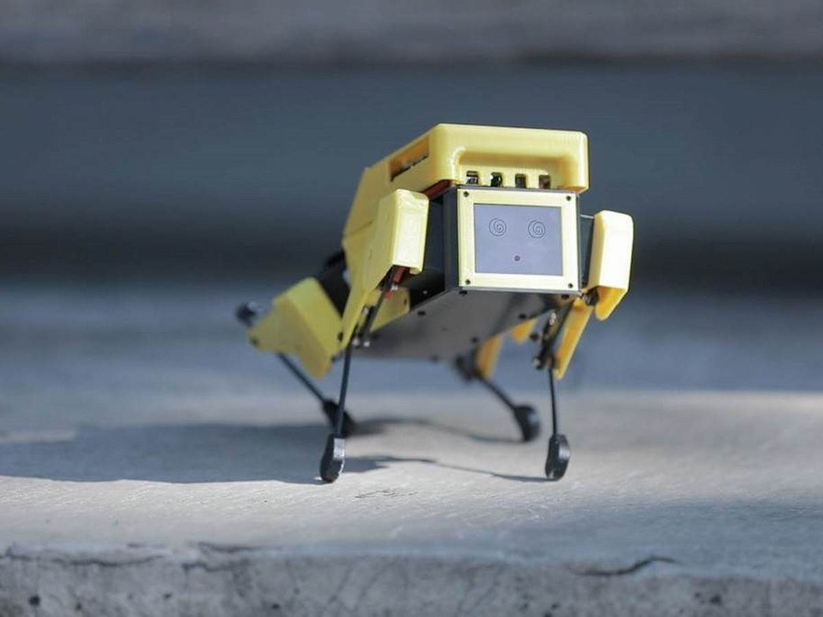  Mini Pupper robot pas 4 - SmartLife / Mini Pupper 