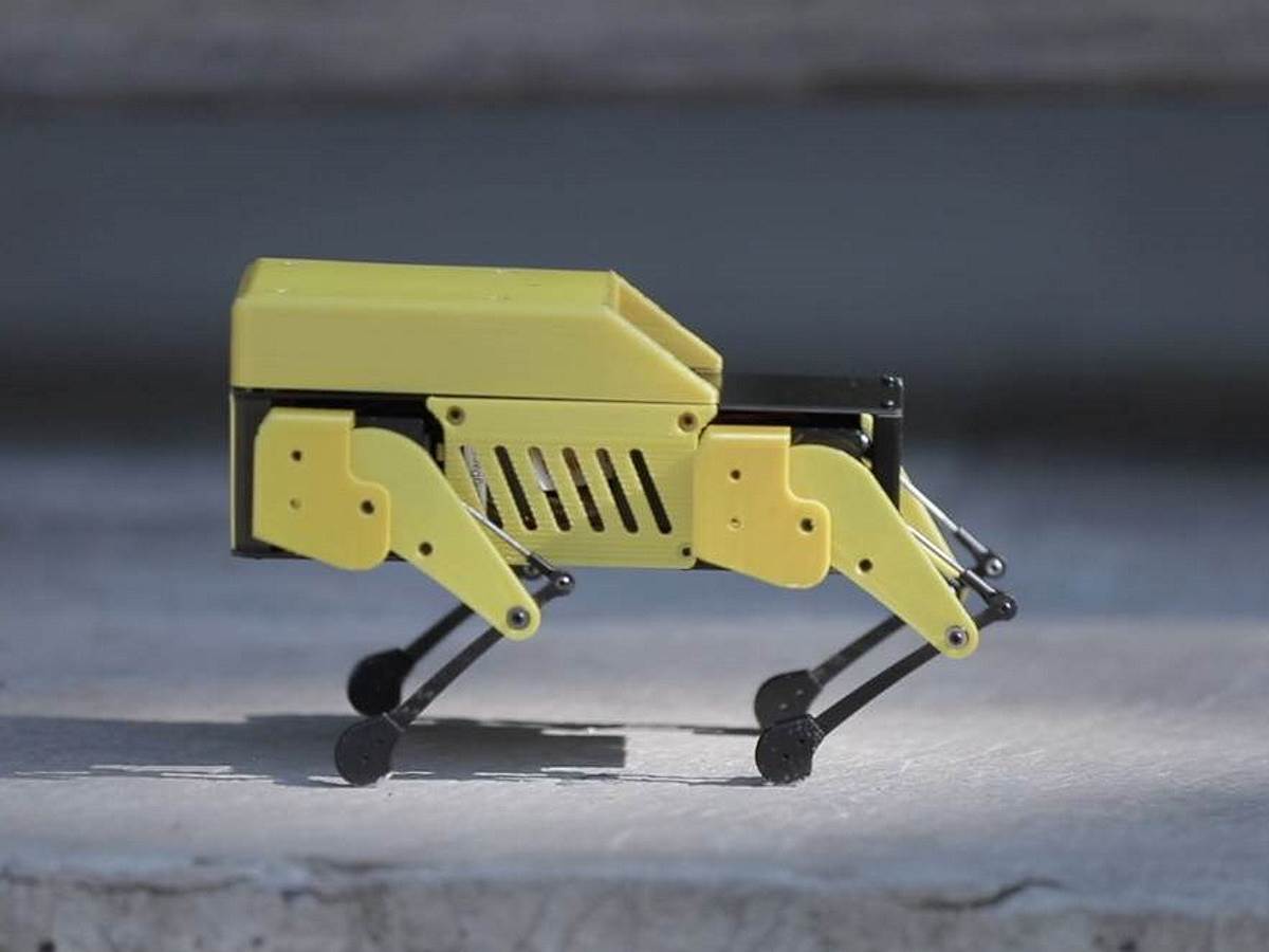  Mini Pupper robot pas 5 - SmartLife / Mini Pupper 