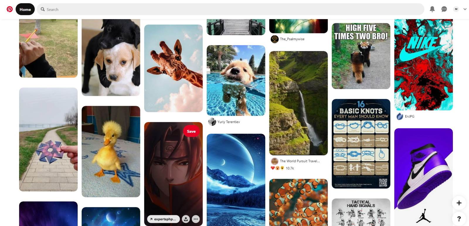  Pinterest 01 - SmartLife / Pintereset / Printscreen 