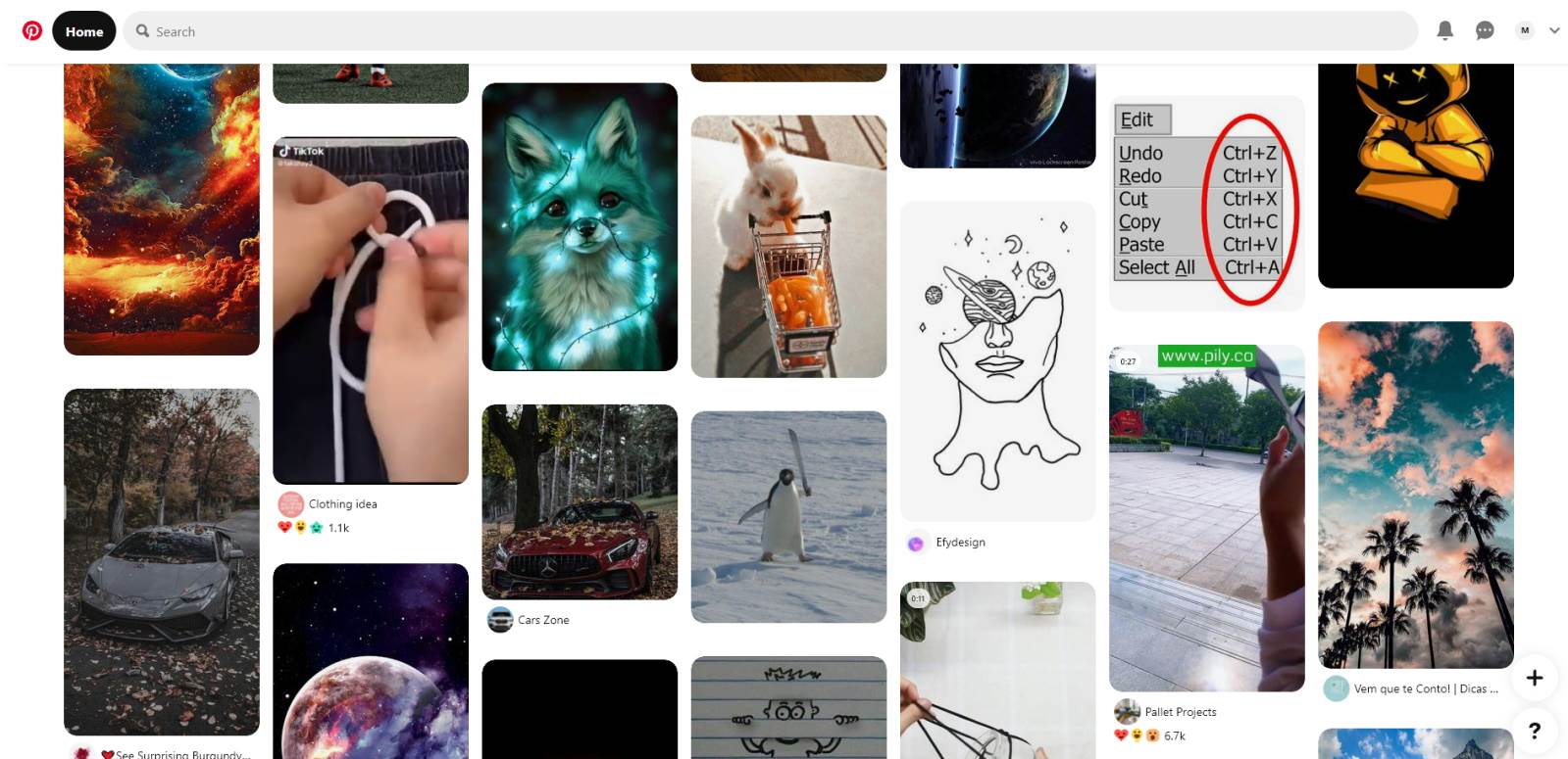  Pinterest 04 - SmartLife / Pintereset / Printscreen 