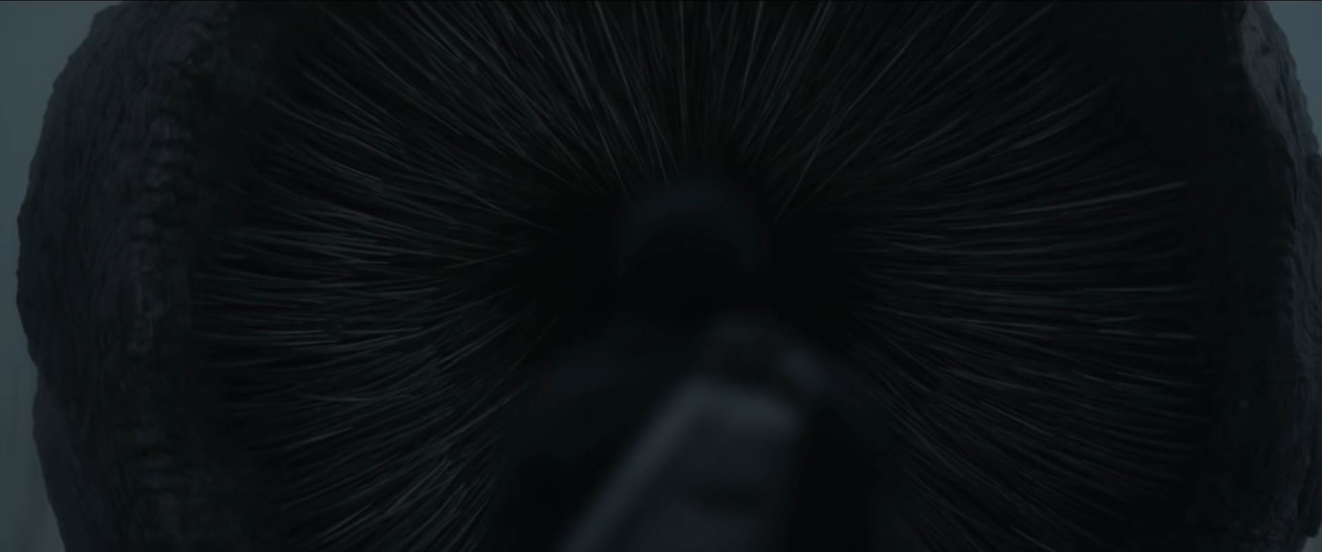  Dune 01 - SmartLife / YouTube / Warner Bros. Pictures / Printscreen 