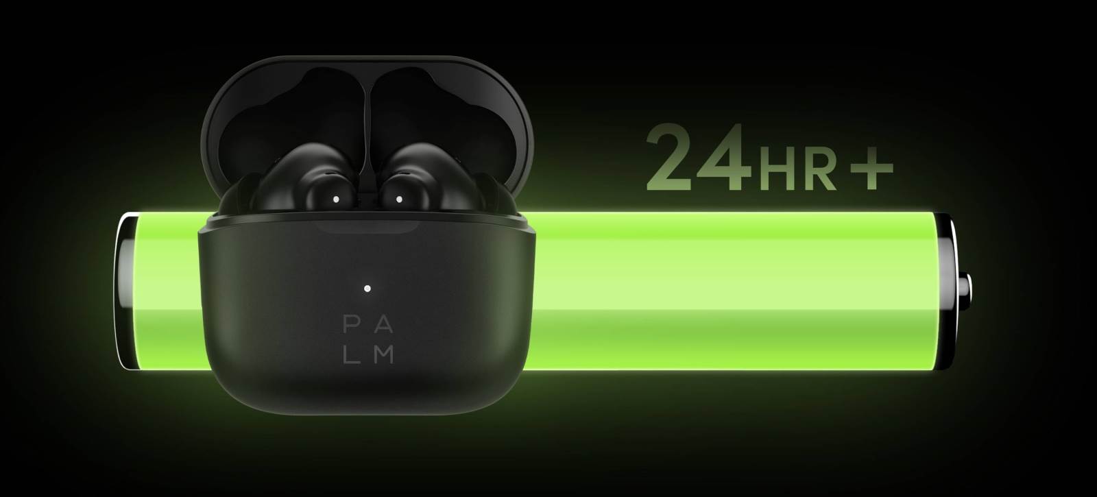  Palm (5) - SmartLife / Palm 