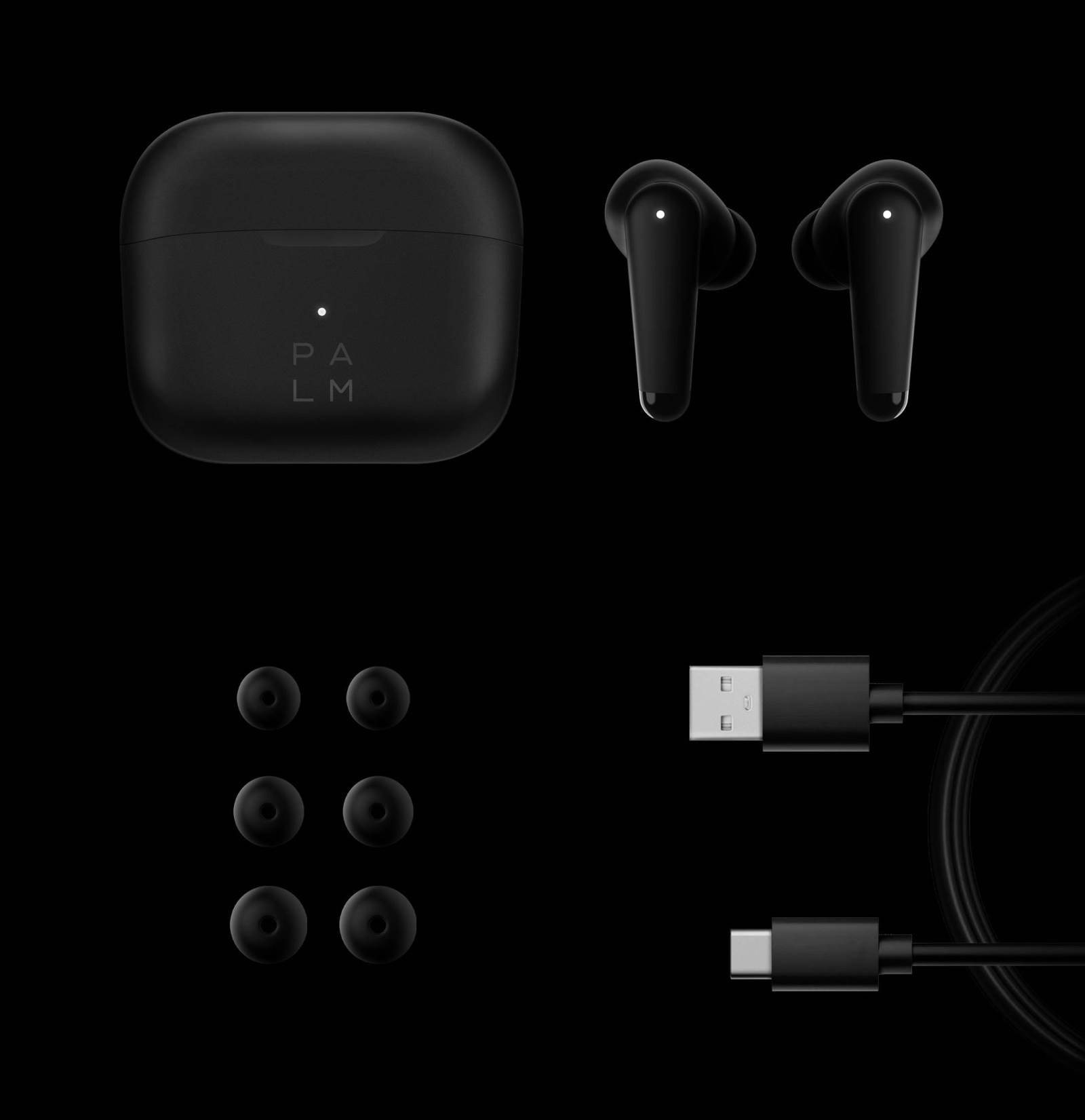  Palm (7) - SmartLife / Palm 