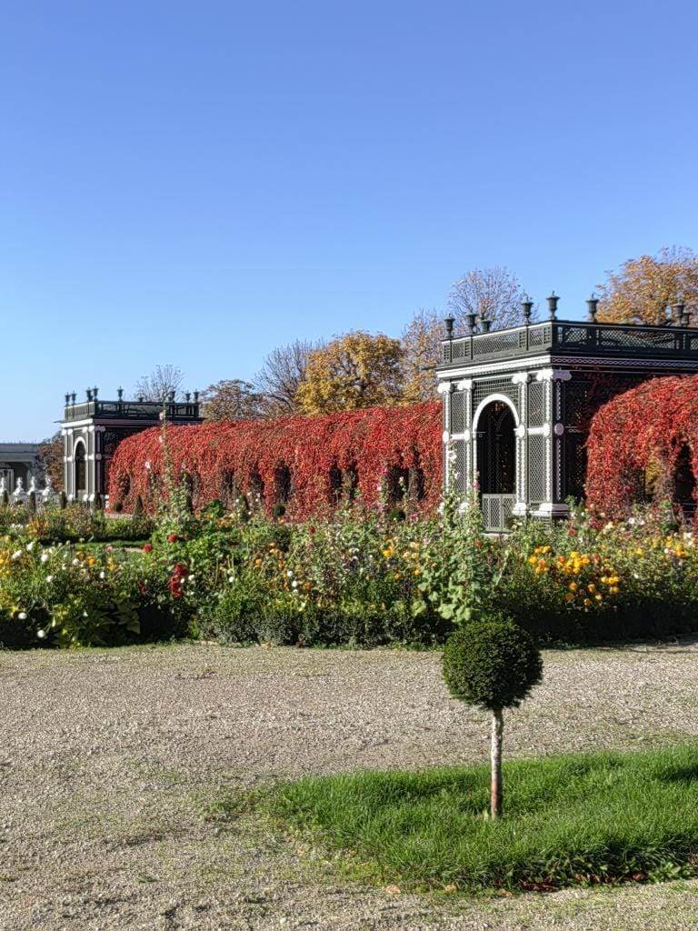  Huawei nova 9 kamera kvalitet fotografija (2).jpeg - SmartLife / Huawei 