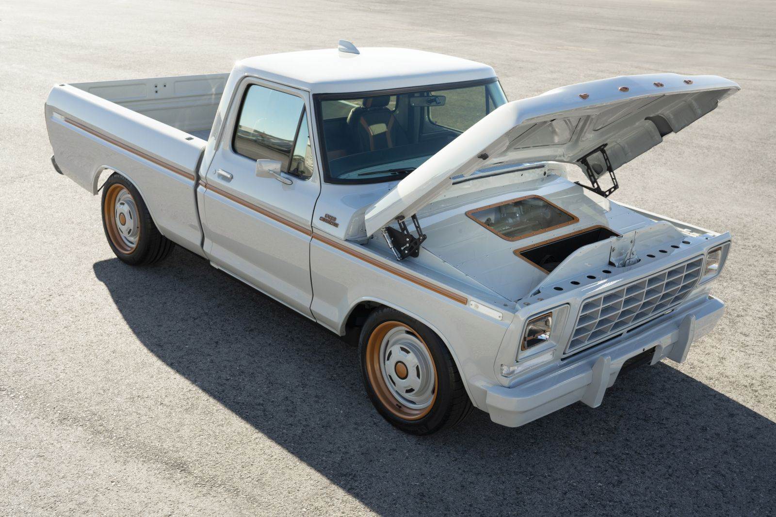  Ford F-100 Eluminator - SMARTLife / Ford 