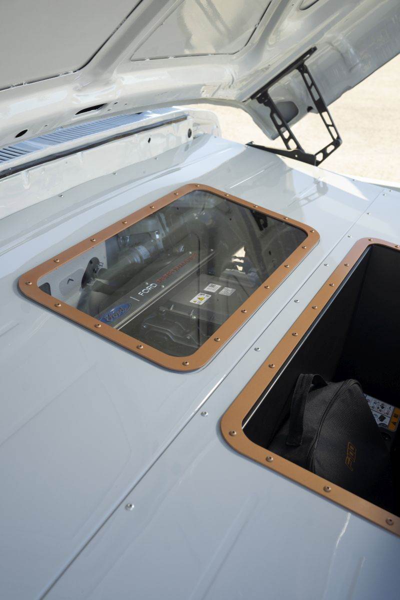  Ford F-100 Eluminator motor iz blizine 