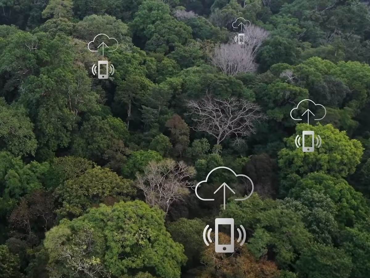  Huawei telefoni kišne šume zaštita od seče šuma 2 - SmartLife / Huawei 