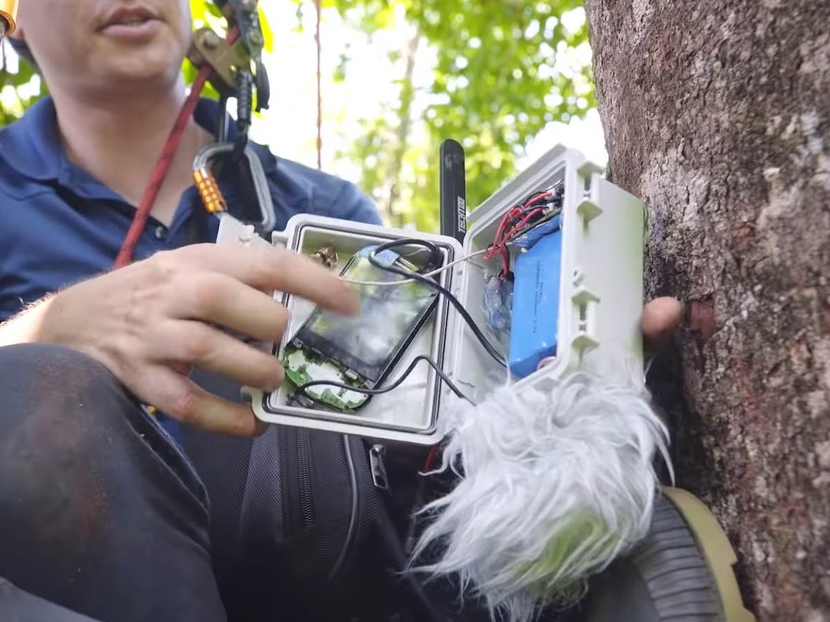  Huawei telefoni kišne šume zaštita od seče šuma 7.jpg - SmartLife / Huawei 