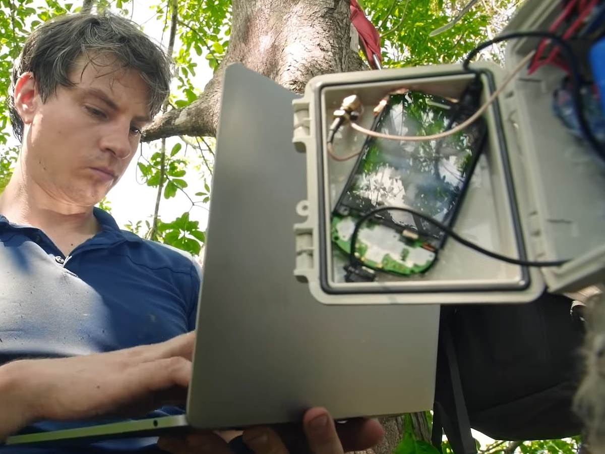 Huawei telefoni kišne šume zaštita od seče šuma 10.jpg   Huawei telefoni kišne šume zaštita od seče šuma 10.jpg